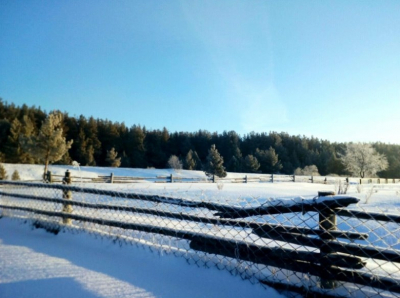 НЕТ ХУДА БЕЗ ДОБРА.